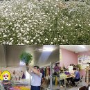 점자농장 네이버블로그