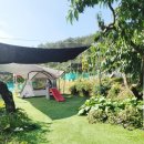 오세창농장 | 영천 아이랑 가볼만한곳 오세창곤충체험농장 곤충좋아하는 아이랑 대구근교 팜크닉 가기좋은 곳