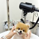 견생 이발소 네이버블로그