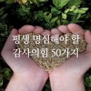 이와스