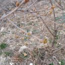 일출농장 이미지