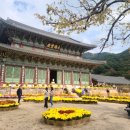 미래로부동산경영