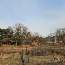 비슬산 참숯굴 찜질방 | 대구 찜질방 비슬산 참숯굴찜질방 이용후기