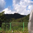 수리산도립공원 납덕골 이미지