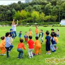 자연유아학교 이미지