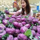 신안할인마트 뉴시스