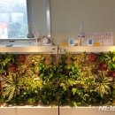 당진어린이집 이미지