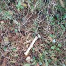 충북야생동물센터 이미지