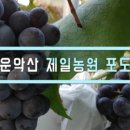 동관농장 이미지