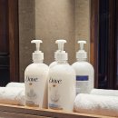홀리데이나이트 | [발리/짱구] Holiday Inn Resort Bali Canggu/홀리데이 인 리조트 발리 짱구 원 베드룸 스위트 후기