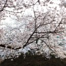 프랑스자수와 인형 이미지