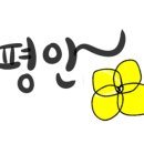 성남참조은약국 이미지