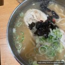 나를 지켜주는 친구 초록이 | 2025년의 마지막 장