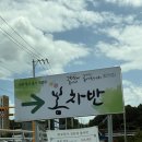 완주육전 | 완주 봄차반 다녀온 후기