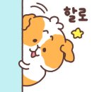 와일드복싱짐 안양관 이미지