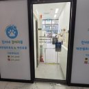 셀프 강아지 목욕탕 이미지