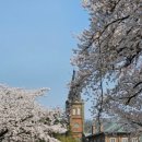 공주교육대학교 박물관 이미지