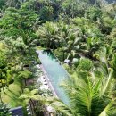 발리호텔 이미지