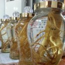 진정민박 이미지