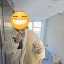 한마음창원점 이미지