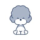 은하수펫샵 이미지