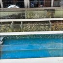 조개일번지 이미지