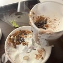 카페코지룸 | [평택] 비전동 카페 내돈내산 방문 후기 | 오퍼커피 | 코지룸