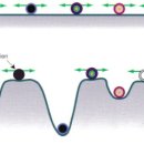 윤진화 퍼스널트레이닝 이미지