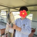 신가리낚시터 이미지