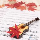 기타 집중레슨 이미지