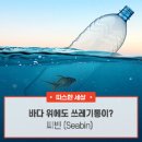 씨빈