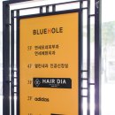 부흥헤어샵 | 가을 대세 컬러 흑발! 서현역 헤어샵에서 헤어 컬러 시술받은 후기! 19년 가을은 블랙 헤어로 트렌디하게!