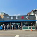 강릉 사천 장안횟집 웨이팅 포장 주차 미역국 가자미물회 주말방문 내돈내산 풍자 또간집 삐라