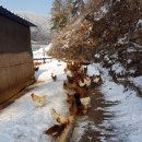 가산농장 이미지