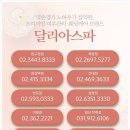 피부명가 이미지