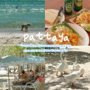 산호비치호텔 | 파타야 산호섬 핫티엔 비치 어드벤처 반일 투어 후기: 코랸섬 스노클링 & 액티비티 강추!
