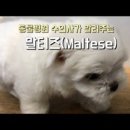 하안동물병원 이미지