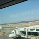 562 | OZ561, OZ562 인천-로마 아시아나 비즈니스(A350-900) 후기