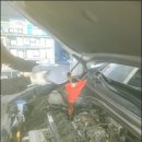 한국타이어 중울산점 이미지