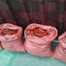 피서농장 이미지