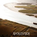 자연의선율