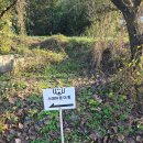 햇살 스테이 | 청도애견펜션 스테이온더힐 방문 솔직 후기