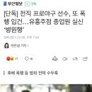 전직 프로야구 선수, 또 폭행 입건…유흥주점 종업원 실신 ‘병원행’ 이미지