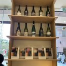 동양스프링 | [분당] 정자역 카페 스프링 / 커피 아메리카노, 라떼, 초코라떼 구매 방문후기 ☕️