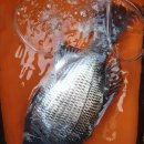 남해-318 이미지