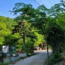 호수농원민박 이미지