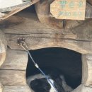 미동목장 이미지