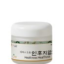 인후지염산 / HealThroat / Инхуджиёмсан 이미지
