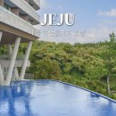 히든카부분정비 | 제주 히든클리프 호텔 찐 특가 수영장 조식 총정리 후기