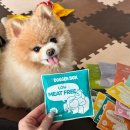 웅인 | 10살포메 강아지신장 관리! 강아지신장화식 추천 '도거박스' 솔직후기